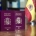 spain passport main-min پاسپورت اسپانیا